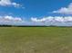 View of the expansive, green backyard at 30017 Johnston Rd, Dade City, FL 33523