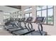 Modern gym featuring state-of-the-art treadmills, elliptical machines, and floor-to-ceiling windows with natural light at 34053 Anchor Light Ln, Wesley Chapel, FL 33543
