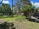 Expansive front lawn with lush greenery and mature trees, next to a driveway at 3902 Shoreside Cir, Tampa, FL 33624