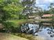Scenic view of a community pond reflecting the sky and surrounding buildings at 3902 Shoreside Cir, Tampa, FL 33624