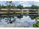 Beautiful pond reflecting the homes and trees in the community, close up at 3902 Shoreside Cir, Tampa, FL 33624