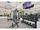 Well-equipped gym with dumbbells, weight machines, mirrors, and TV for a complete workout experience at 4709 Isonzo Way, Wesley Chapel, FL 33543