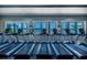 Community gym featuring modern treadmills overlooking a scenic lake at 4821 Grand Banks Dr, Wimauma, FL 33598