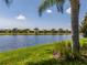 Picturesque view of the lake from the lush green lawn with a palm tree in the foreground on a clear day at 4821 Grand Banks Dr, Wimauma, FL 33598