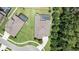 Birds-eye view of a backyard oasis with a screened-in pool, manicured lawn, and mature trees offering privacy at 8016 Rock Spring Ct, Land O Lakes, FL 34638