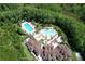 Aerial view of a community pool, surrounded by lush greenery, lounge chairs and umbrellas, offering a resort-style experience at 8016 Rock Spring Ct, Land O Lakes, FL 34638