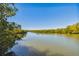 Quiet water view of a tranquil canal framed by lush, vibrant mangrove trees and bright blue sky at 9812 Indian Key Trl # 84, Seminole, FL 33776