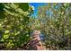 Private community dock surrounded by lush mangrove trees with a tranquil canal view at 9812 Indian Key Trl # 84, Seminole, FL 33776