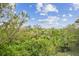 Scenic treetop view of surrounding landscape at 9812 Indian Key Trl # 84, Seminole, FL 33776