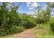 Lush yard with mature trees at 9812 Indian Key Trl # 84, Seminole, FL 33776