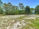 Expansive and partially-wooded backyard offering privacy and ample space for outdoor activities at 13110 Manistee Rd, Weeki Wachee, FL 34614