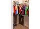 Walk-in closet with plenty of space for hanging clothes and storing items at 14245 Damselfly Dr, Tampa, FL 33625