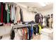 Spacious walk-in closet with ample hanging space and shelving for organization at 14245 Damselfly Dr, Tampa, FL 33625