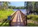 Wooden private dock leading to calm waters, surrounded by lush greenery and cypress trees at 14245 Damselfly Dr, Tampa, FL 33625