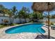 Backyard pool with privacy fence, palm trees, and Tiki umbrellas at 1503 Albemarle Ct, Dunedin, FL 34698