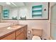 Modest bathroom featuring a sink, toilet and storage shelves at 1514 Florida Ave, Palm Harbor, FL 34683