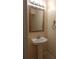 Pedestal sink with decorative mirror and lighting in a neutral colored bathroom at 16618 Kingletside Ct, Lithia, FL 33547