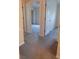 Carpeted hallway showcasing multiple doorways leading to various rooms at 16618 Kingletside Ct, Lithia, FL 33547
