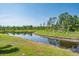 Scenic view of the pond in the backyard at 21874 Crest Meadow Dr, Land O Lakes, FL 34637