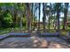Community lake access with benches, walkway, and shade trees at 3123 Whitehead Ln, Land O Lakes, FL 34638