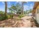 Beautiful backyard with mature trees, lush foliage, and a brick patio, creating an inviting outdoor living space at 4711 W Vasconia St, Tampa, FL 33629