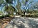 Long driveway approaching the home, shaded by mature trees and lush landscaping at 4711 W Vasconia St, Tampa, FL 33629