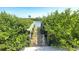 Wooden dock surrounded by lush green plants, inviting access to waterfront activities at 4851 W Gandy Blvd # 23C, Tampa, FL 33611
