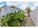 A view of backyard landscaping featuring lush tropical foliage and a white privacy fence at 6149 37Th N Ave, St Petersburg, FL 33710