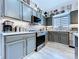 Modern kitchen features stainless steel appliances, mosaic tile backsplash, and gray cabinetry at 6205 Chapel Pines Blvd, Wesley Chapel, FL 33545