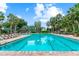 Inviting community pool with palm trees, lounge chairs, clear water, and a clubhouse in the background at 7410 Ambleside Dr, Land O Lakes, FL 34637