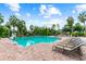 Relaxing community pool surrounded by lounge chairs, umbrellas, palm trees, and serene atmosphere at 7410 Ambleside Dr, Land O Lakes, FL 34637