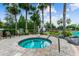 Community hot tub with palm trees, nearby pool, chairs, lush landscaping, and lots of privacy at 7410 Ambleside Dr, Land O Lakes, FL 34637