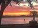 Scenic sunset view over a lake, framed by trees, showcasing vibrant orange and pink colors at 9416 Lake Chase Island Way # 9416, Tampa, FL 33626