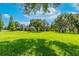 Expansive green backyard with mature trees showcases the peaceful and private setting of the home at 11441 Hammock Oaks Ct, Lithia, FL 33547