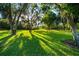 Lush backyard with sprawling green lawn, mature trees, and dappled sunlight creating a serene setting at 11441 Hammock Oaks Ct, Lithia, FL 33547