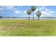 Spacious backyard overlooking lake with green grass, path and palm trees at 11620 Crest Creek Dr, Riverview, FL 33569