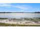 A tranquil lake view enhances the community's appeal, providing a serene backdrop and connection with nature at 11620 Crest Creek Dr, Riverview, FL 33569