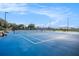 A well-maintained blue tennis court offers residents a place to play and socialize while enjoying the outdoors at 11620 Crest Creek Dr, Riverview, FL 33569