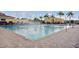 Large swimming pool with lane markers, sun loungers, and palm trees at 13941 Clubhouse Dr # 308, Tampa, FL 33618