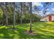 Expansive backyard featuring lush green grass, mature trees, and partial view of a home's architecture at 1801 E Lake Rd # 3A, Palm Harbor, FL 34685