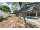 Backyard view of screened pool with patio and well-maintained landscaping at 4120 Tyndale Dr, Brandon, FL 33511
