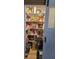 Spacious pantry with abundant storage, perfect for organized kitchen essentials and household goods at 4120 Tyndale Dr, Brandon, FL 33511