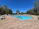 Relaxing community pool area, surrounded by lush greenery and comfortable seating at 4214 Foxboro Dr, New Port Richey, FL 34653
