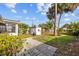 Green backyard with a storage shed, palm trees, and a wood fence at 4226 4Th S Ave, St Petersburg, FL 33711