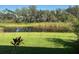Serene backyard view overlooking a tranquil pond surrounded by lush greenery, creating a peaceful retreat at 4433 Eternal Prince Dr, Sun City Center, FL 33573