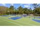 Community sports courts for pickleball, basketball, and tennis surrounded by mature trees at 4652 San Martino Dr, Wesley Chapel, FL 33543