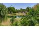 Scenic view of a serene pond surrounded by lush greenery at 4702 W Heron Ln, Tampa, FL 33629