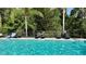 Sparkling community pool with lounge chairs and lush tropical landscaping at 8447 Shallow Creek Ct, New Port Richey, FL 34653