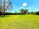 Expansive backyard with lush green lawn and mature trees offering privacy and shade at 9313 Lisbon St, Seffner, FL 33584