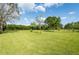 Large backyard featuring healthy green grass and mature trees offering serene scenery at 9313 Lisbon St, Seffner, FL 33584